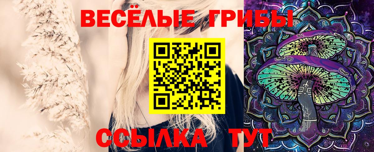 Красноуфимск  Псилоцибиновые грибы мухоморы  Псилоцибиновые грибы Cubensis  Вход с VPN 
